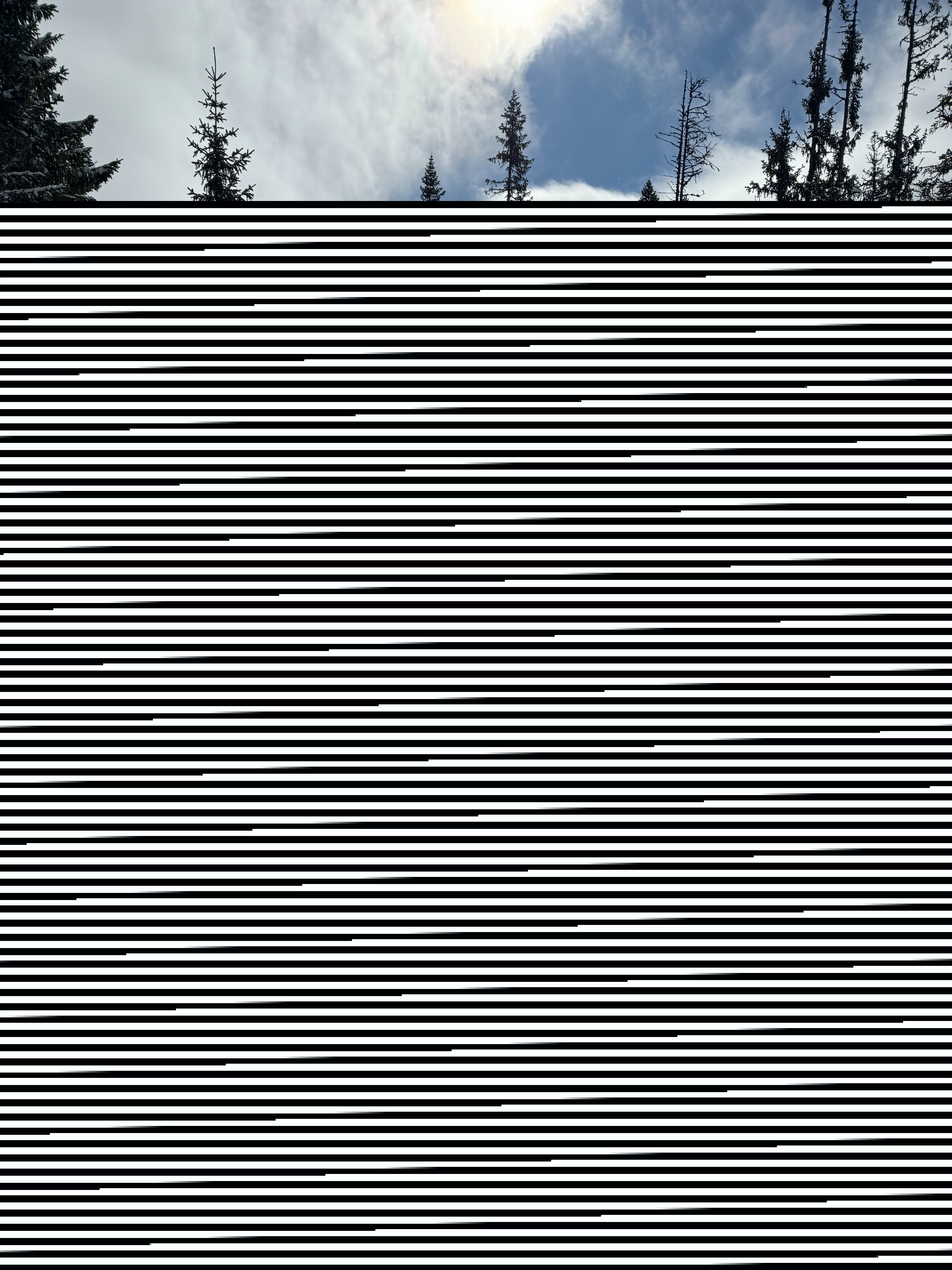 Gjenom skogkroken på heimtur