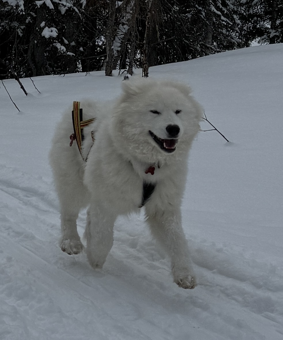 Xanthi Eros av Vinterborgen