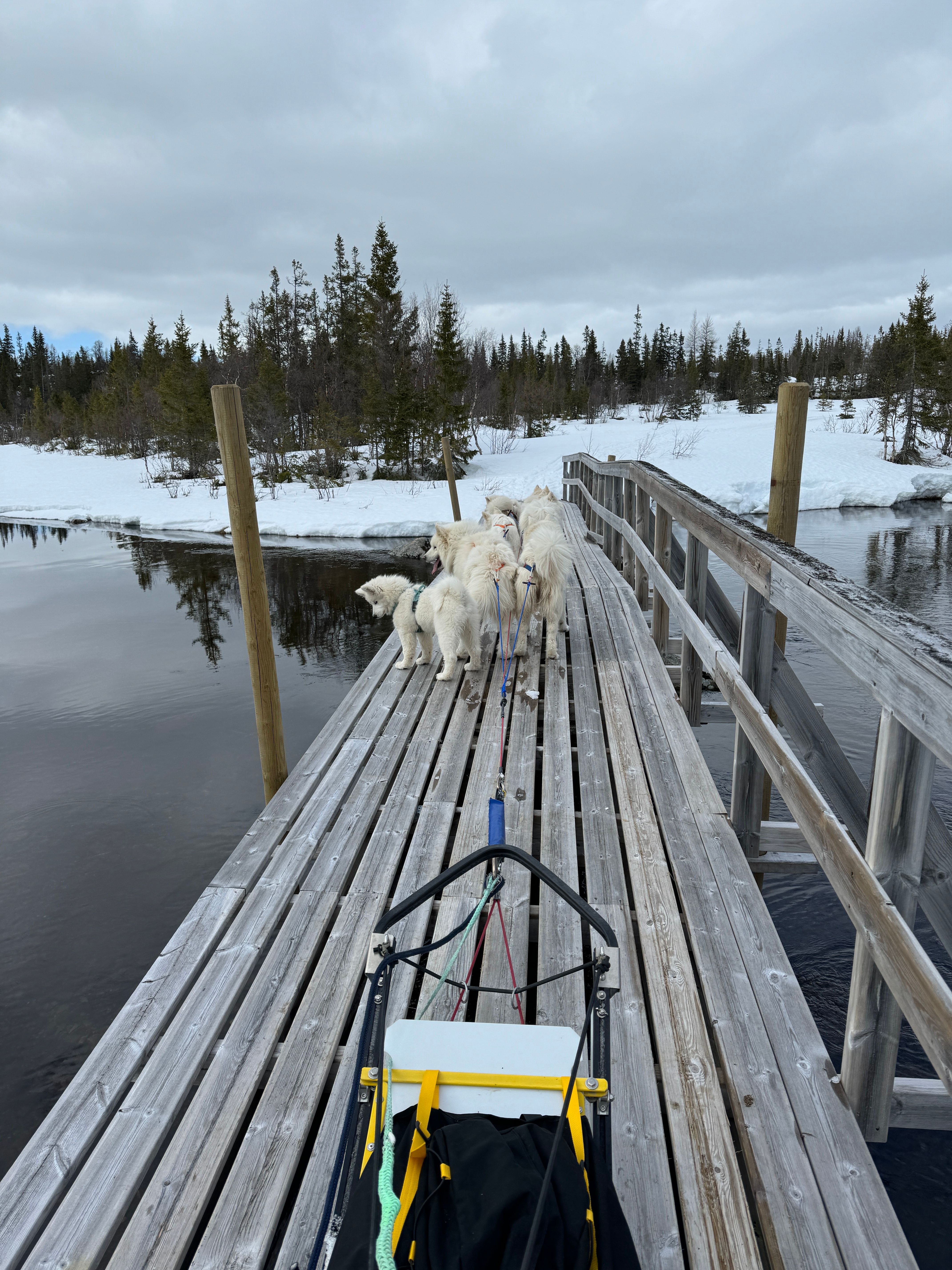 Mollis bare lurer på:)