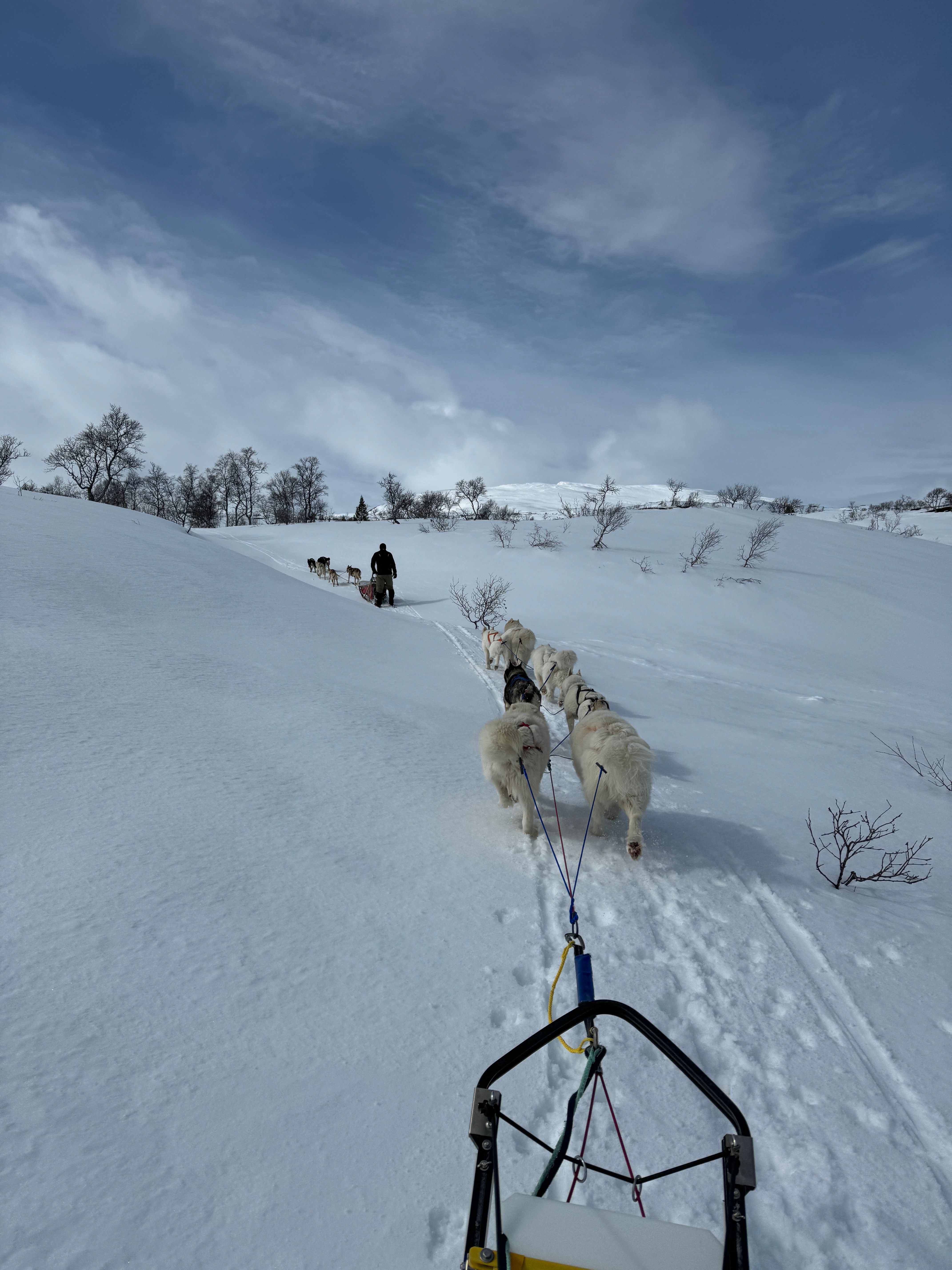 Dagstur opp til Nesskardet
