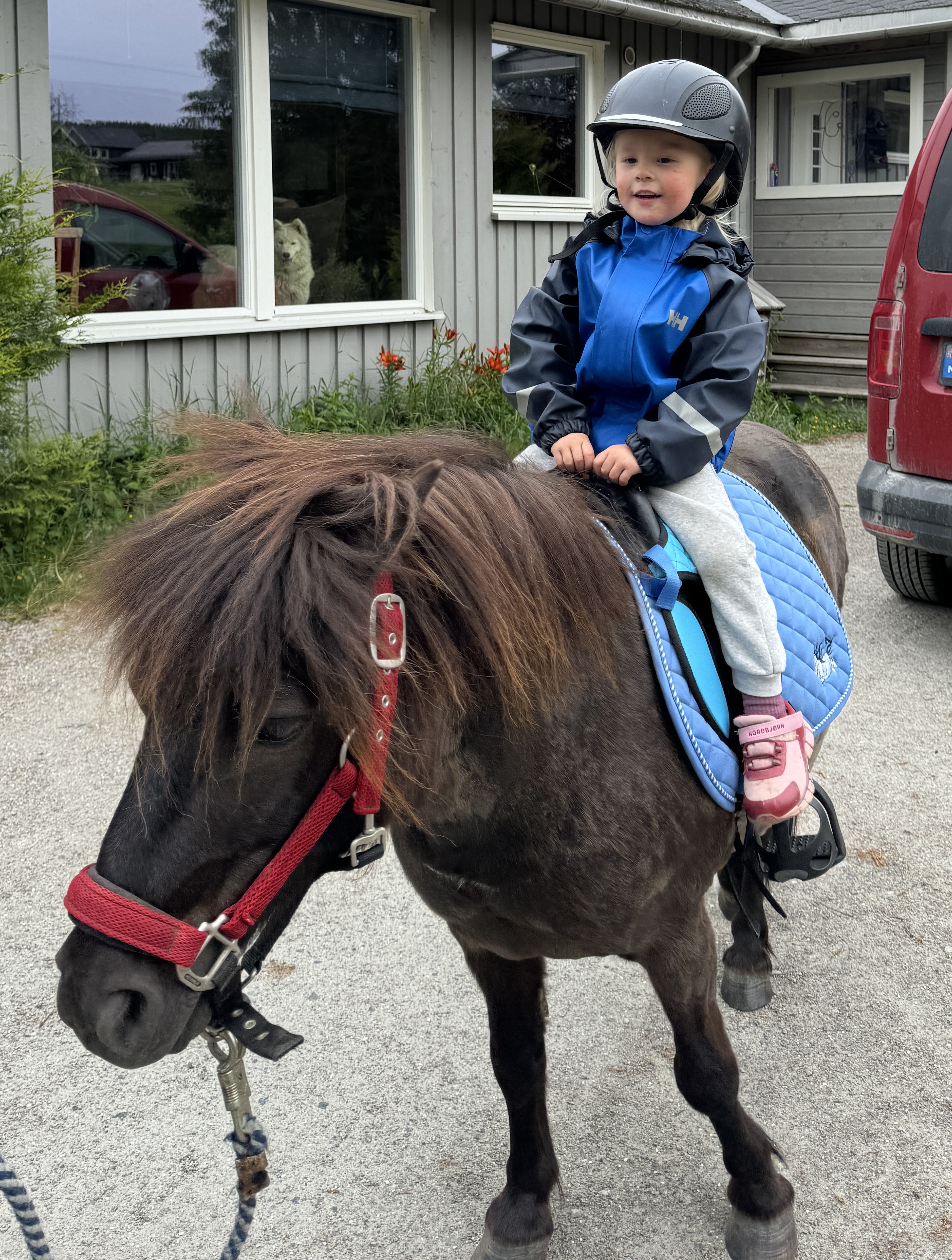 Mitt oldebarn Mie rir på Chester