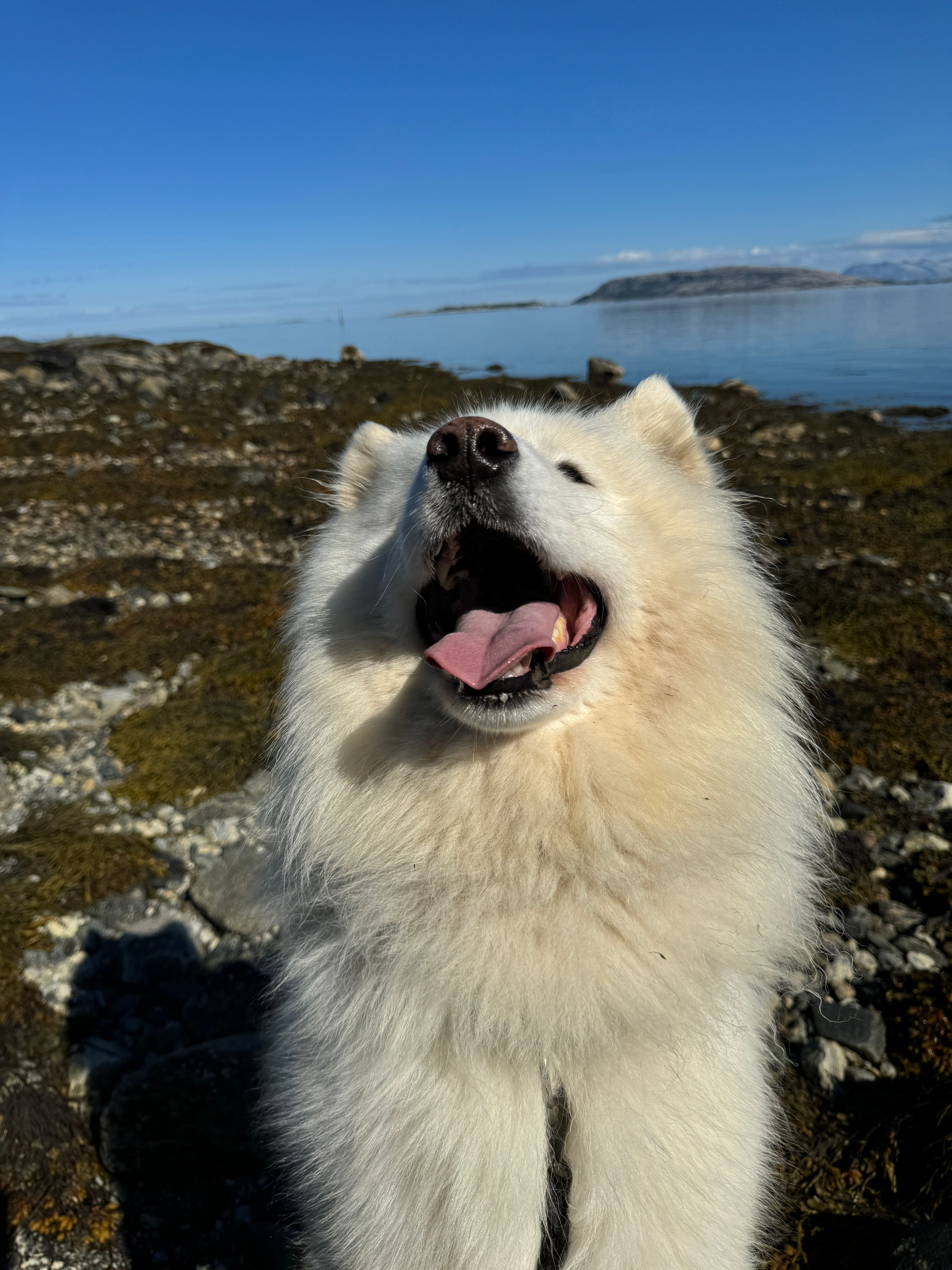 God latter forlenger livet! Ulrik