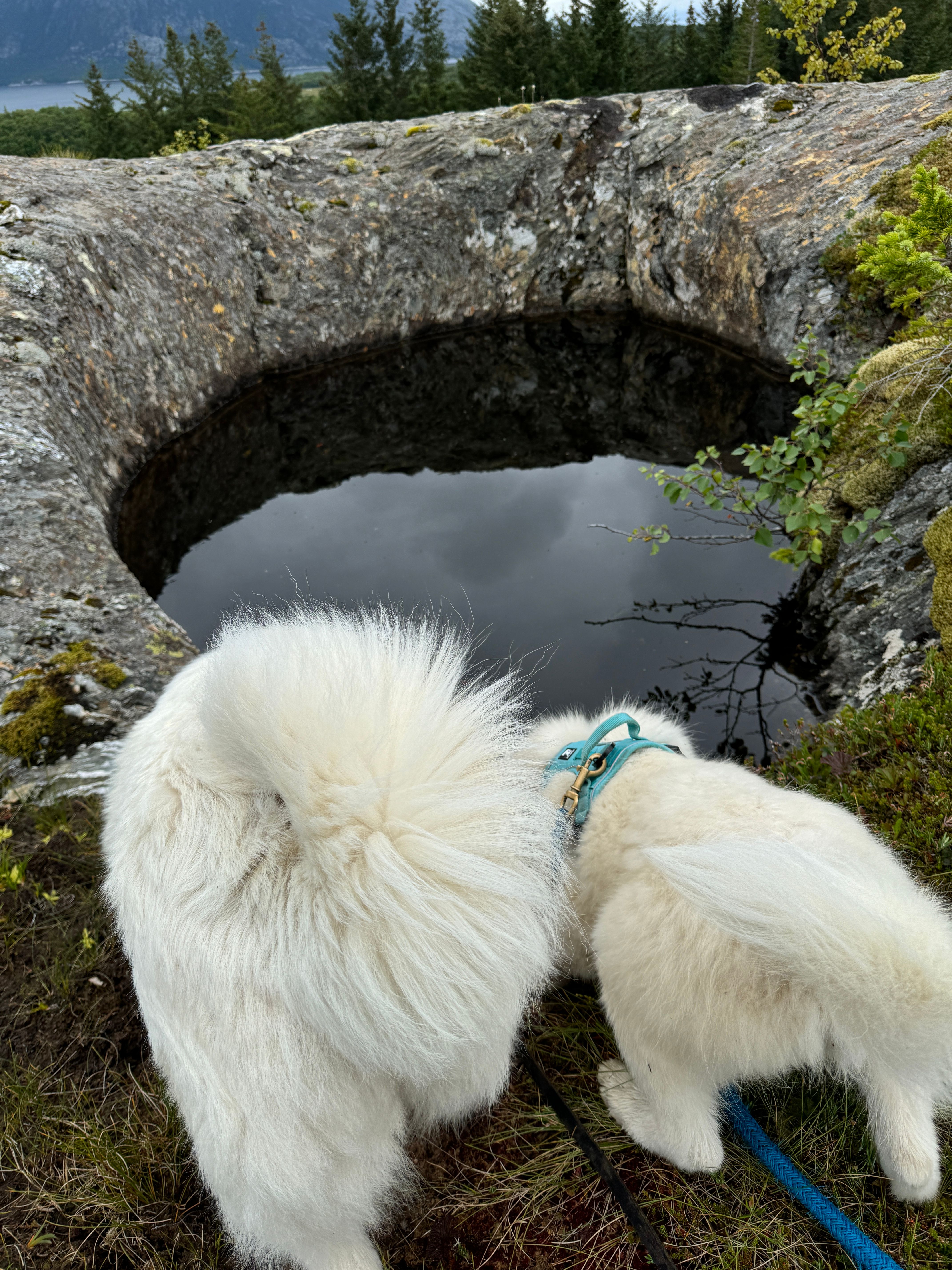 Jettegryten blir sjekket av Meissa og Mollis