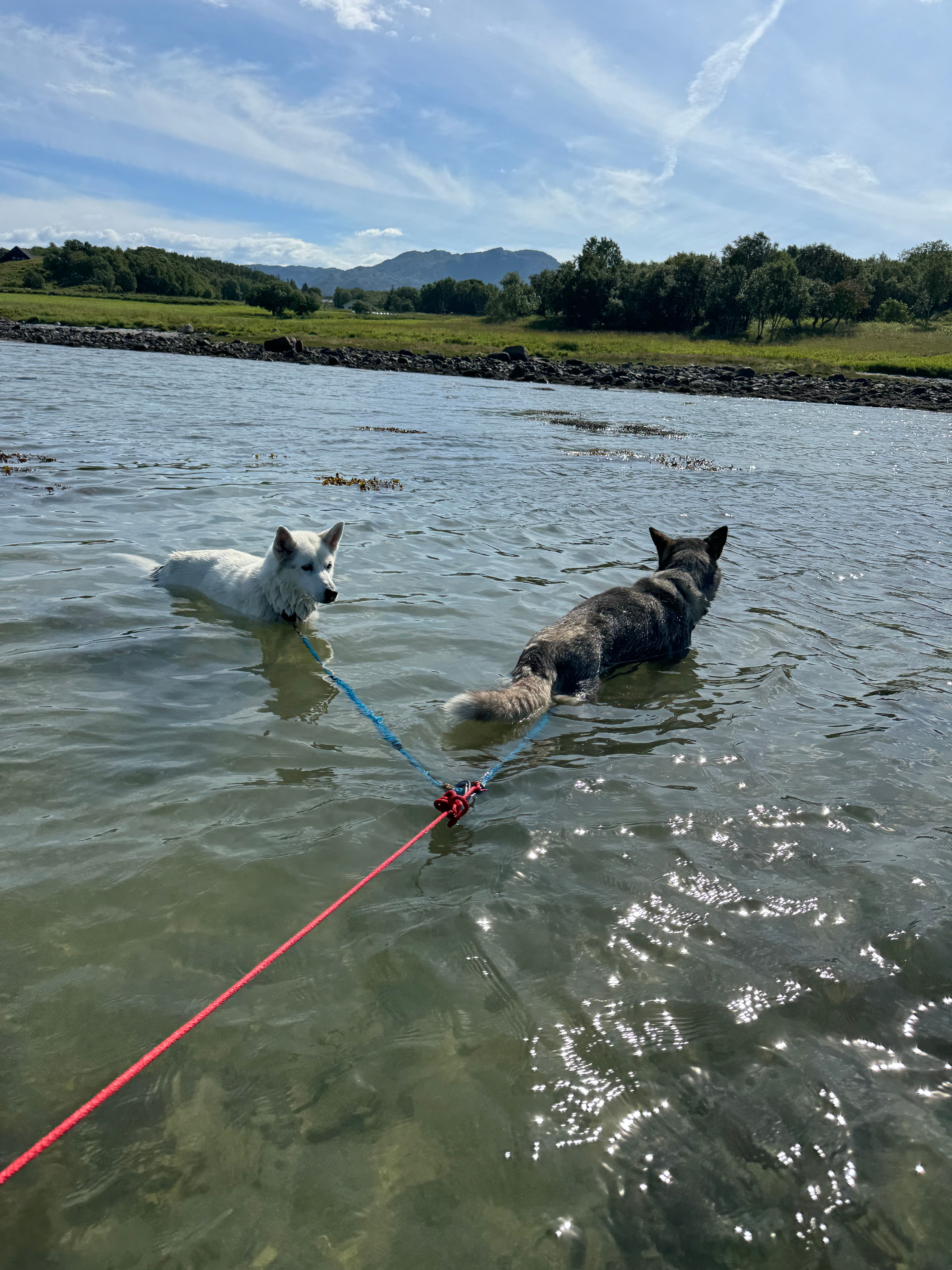 Tine og Mille på svømmetur