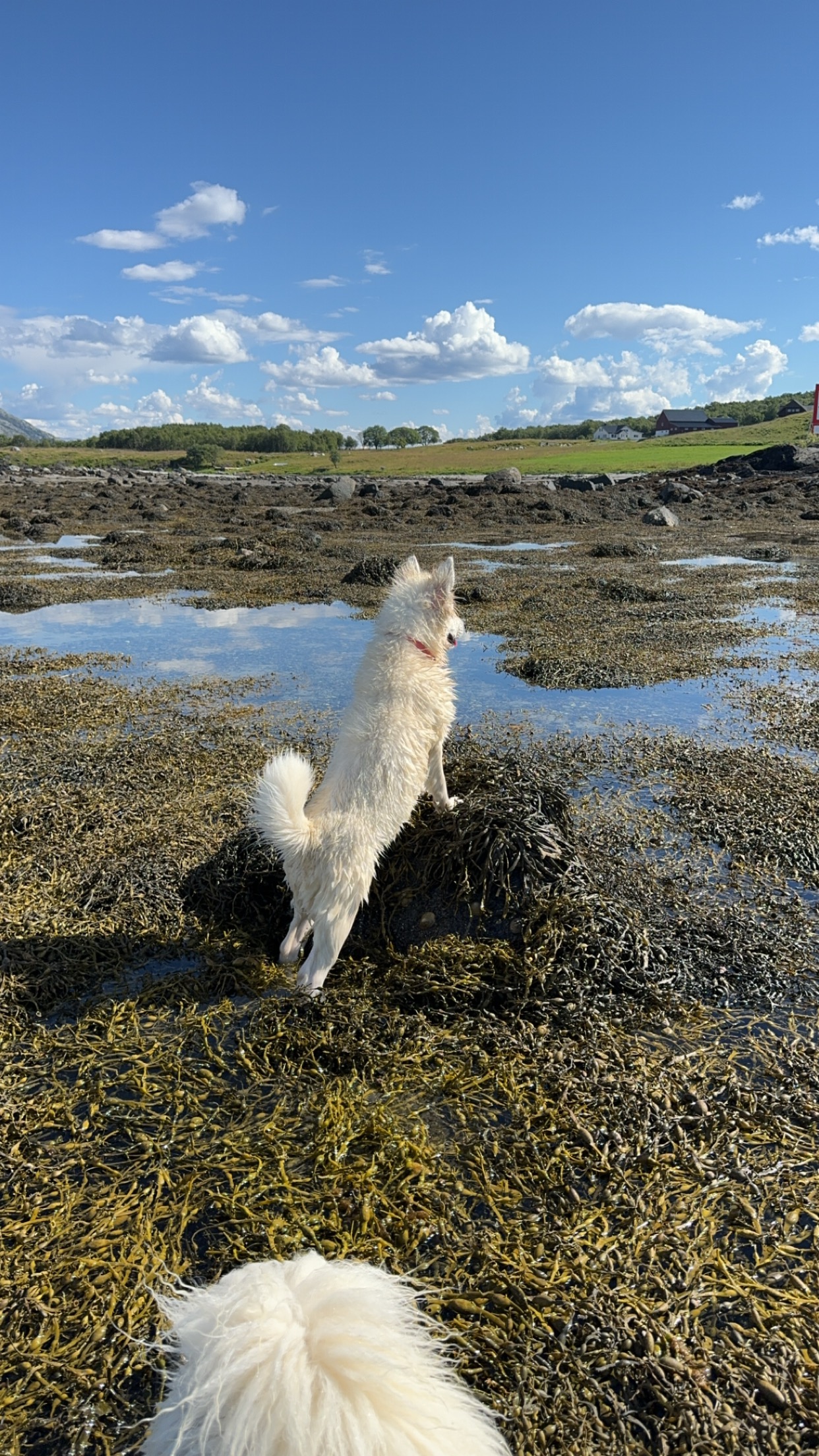 20240716_133920620_iOS