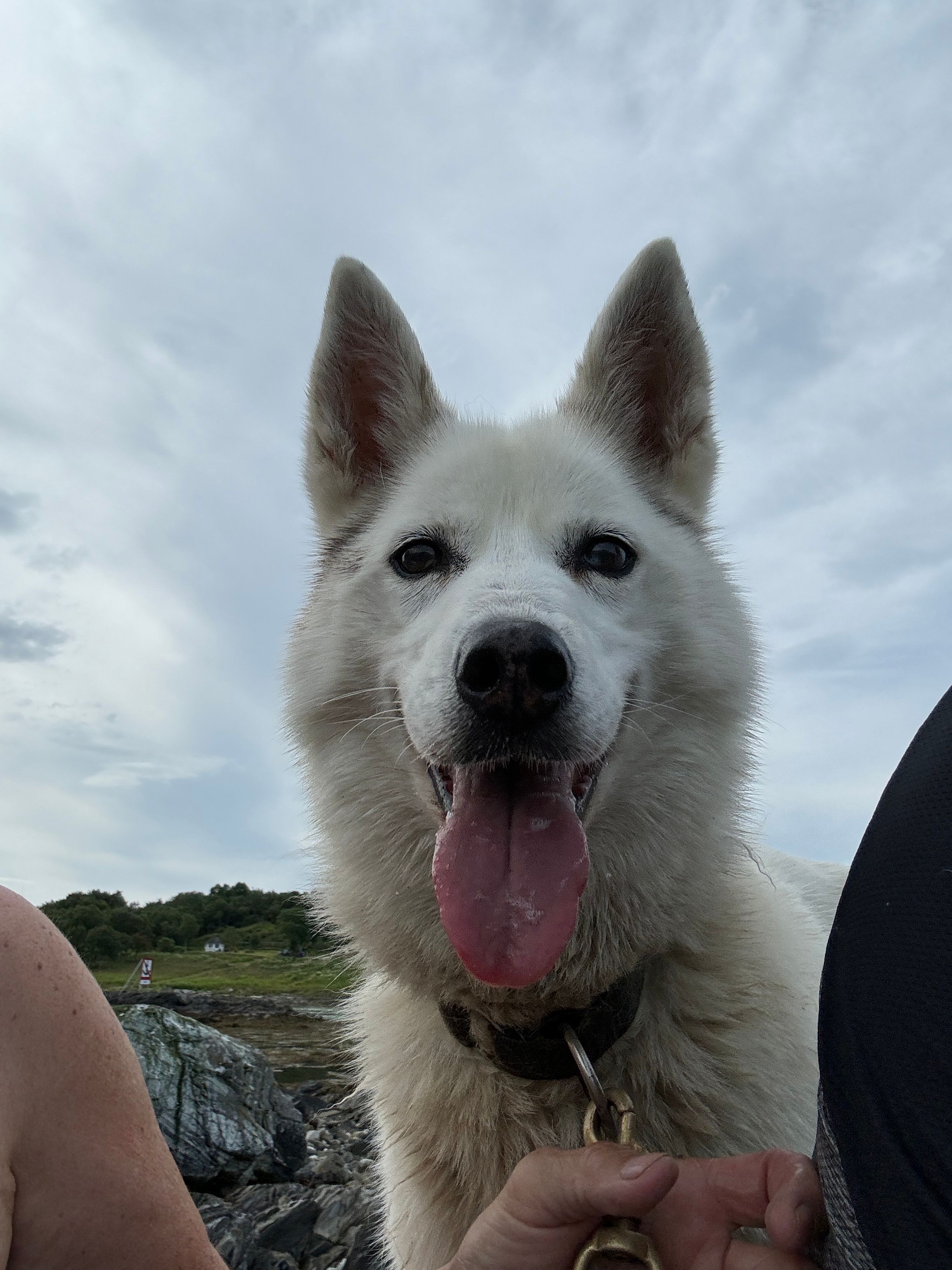 20240717_110243477_iOS