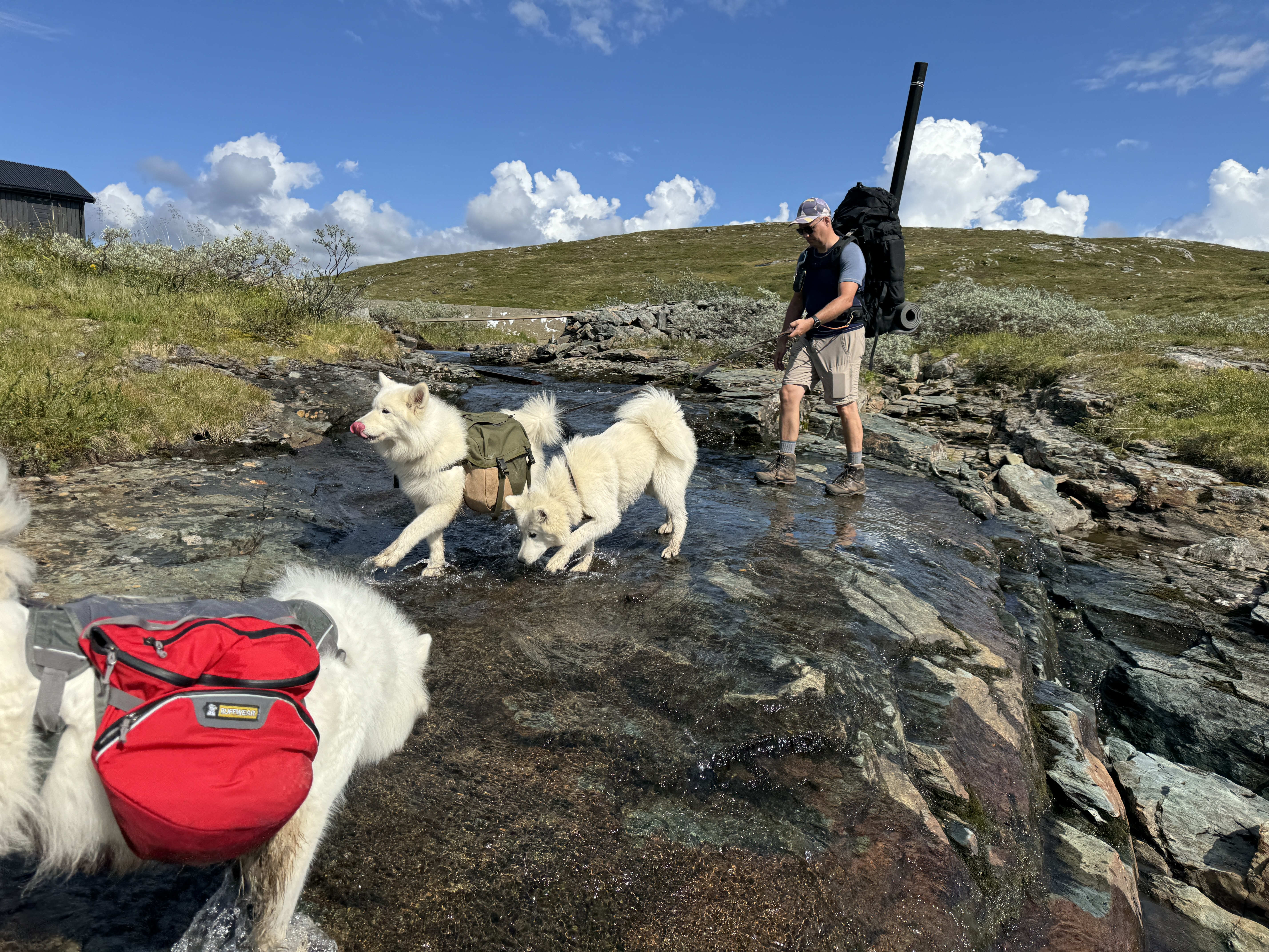 Stein med Mollis og Anne