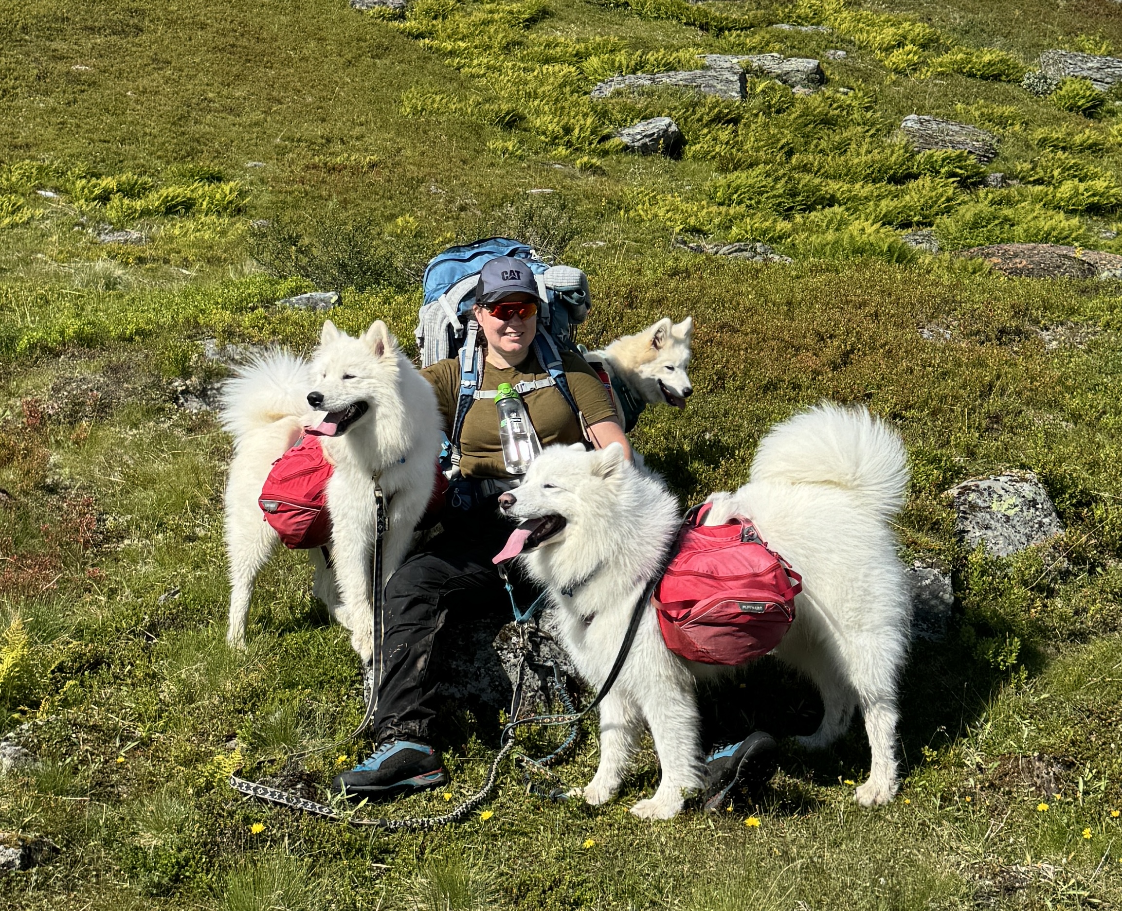 Marthe med sine disipler