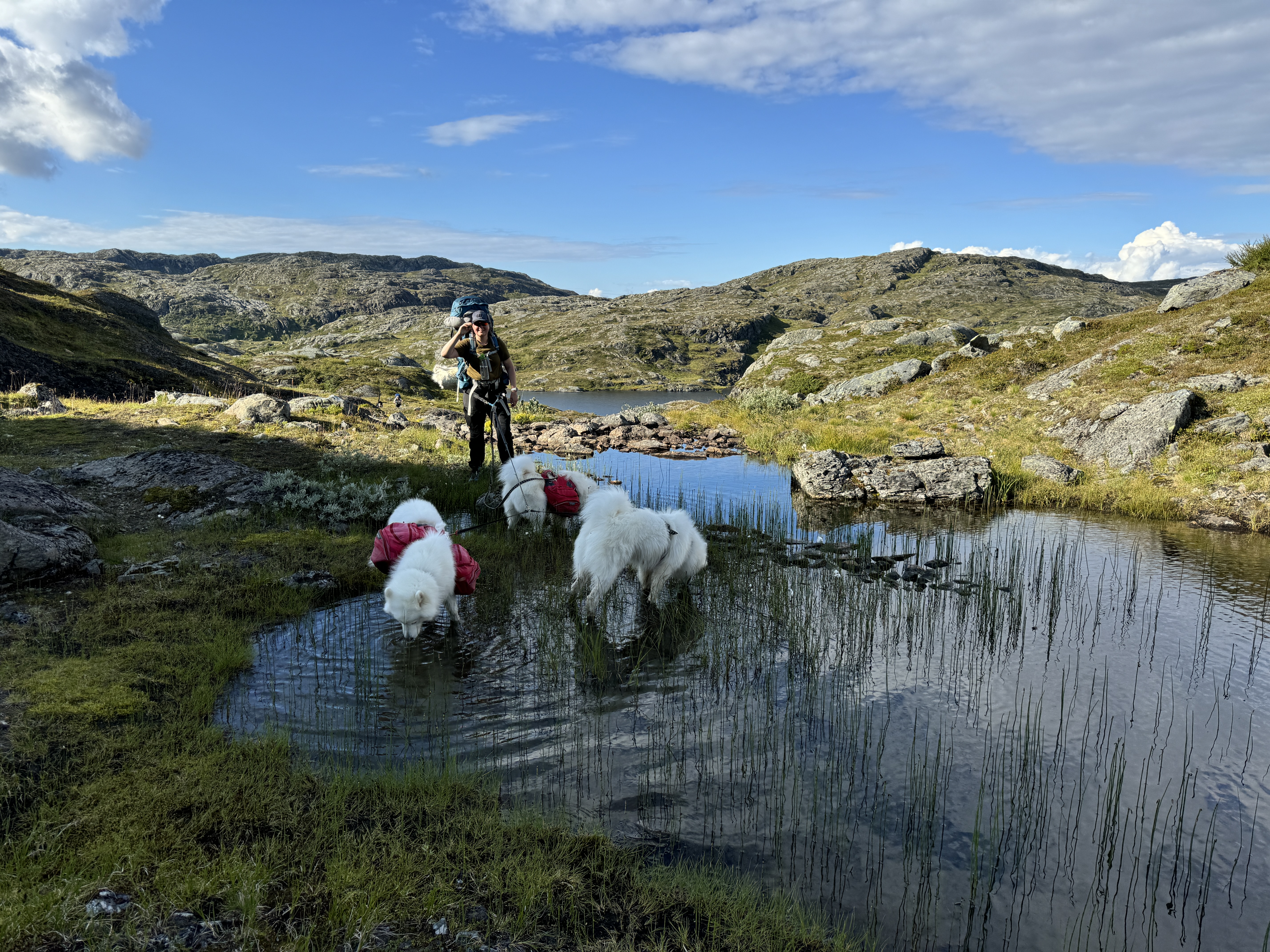 Marthe med Perle Brage, Wiggings Chronos og Xanthi Eros