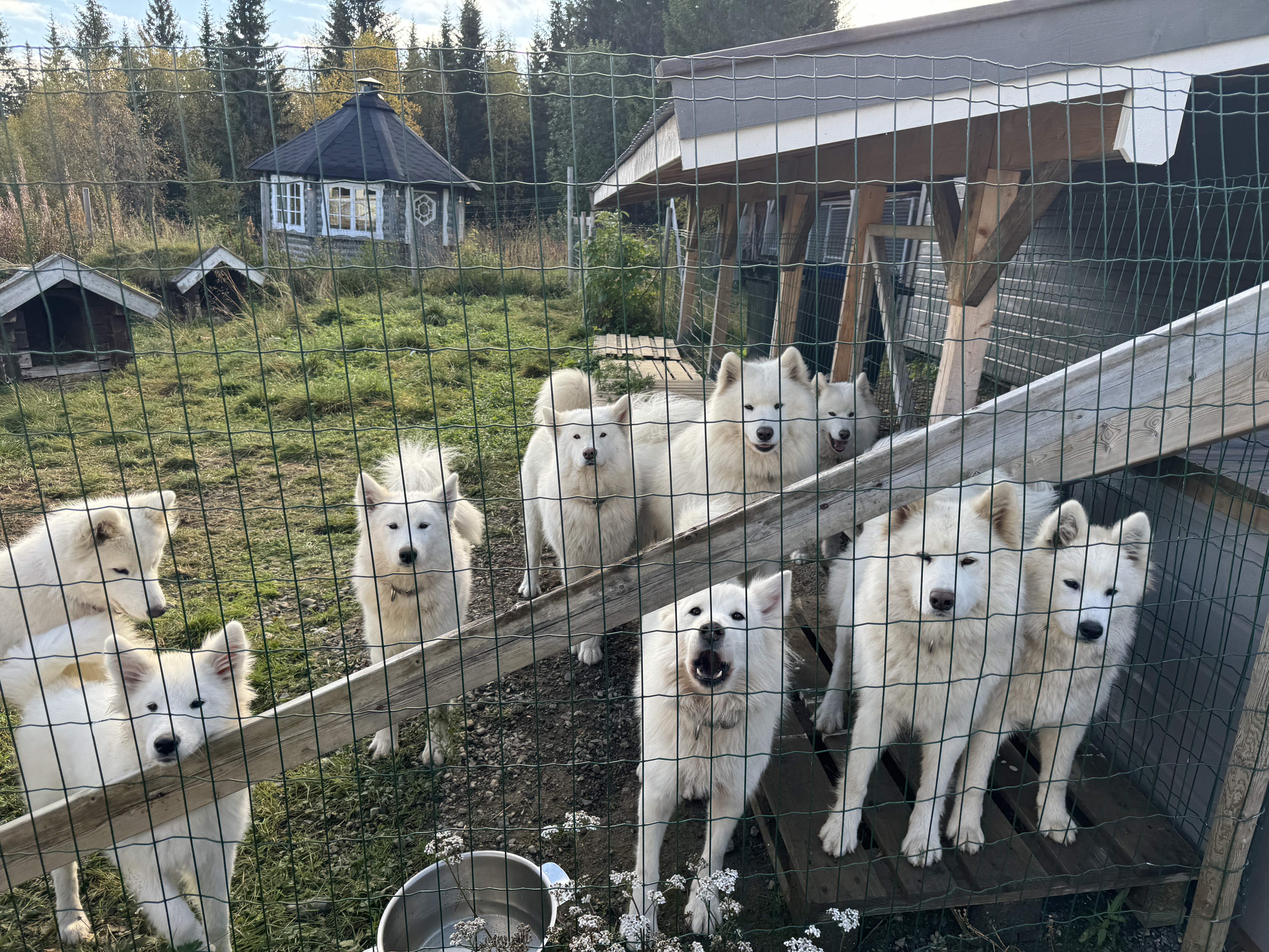 Hyttetur:) Eidesmoseteren