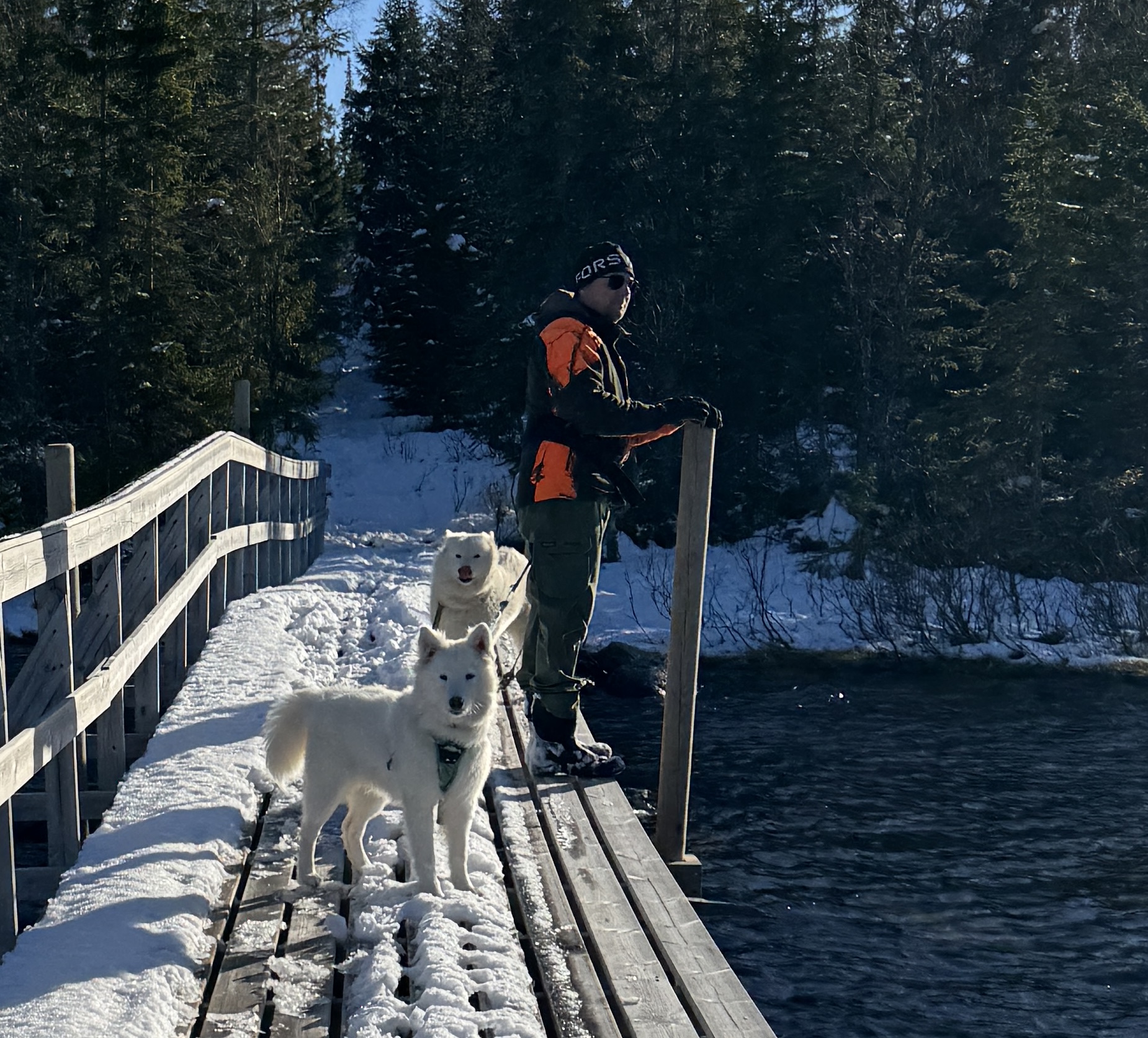 12 oktober og andre snøfall oppi Lierne,Rune med Stein