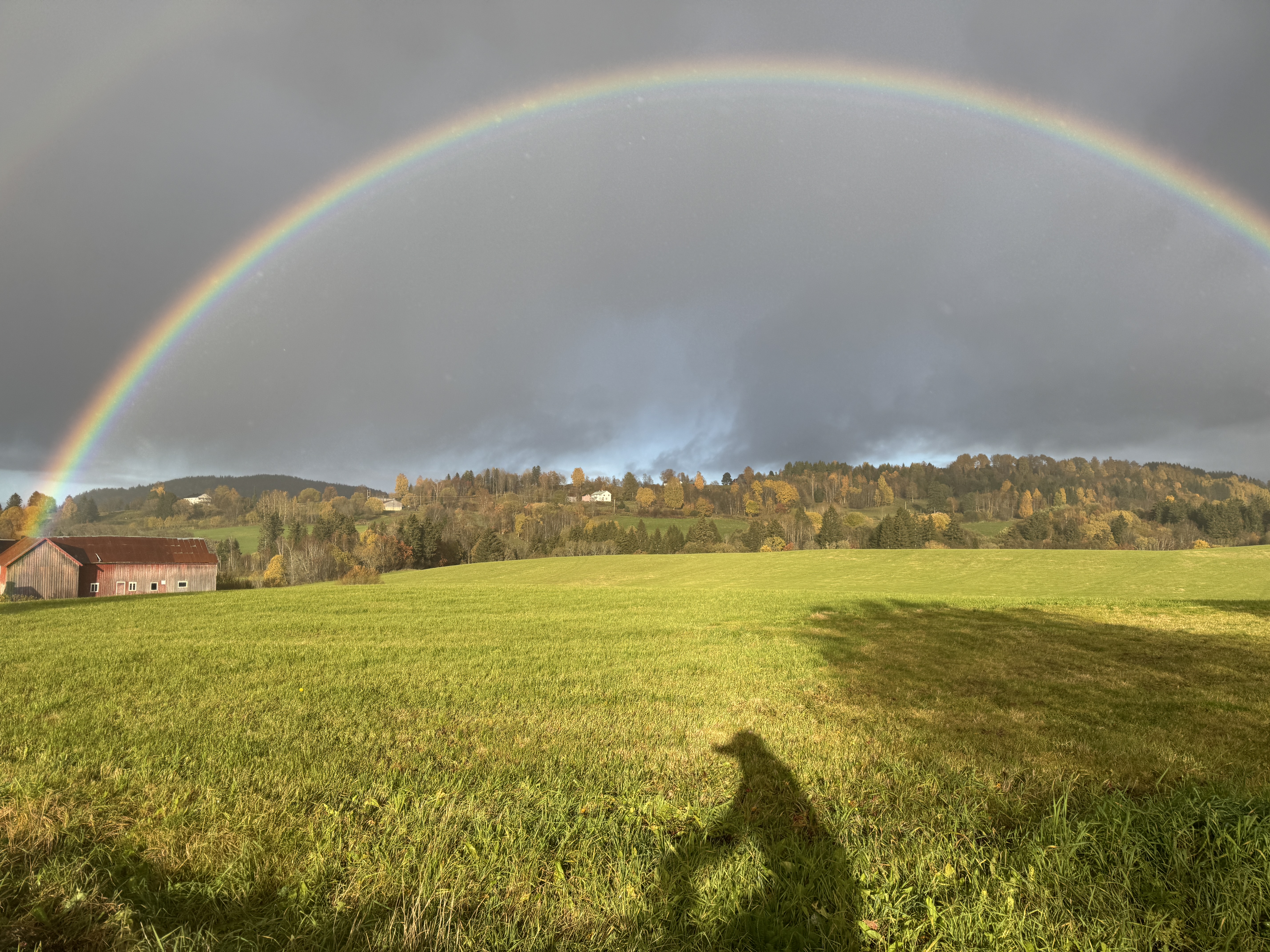 Stilig vær, sykling her heime i Stod