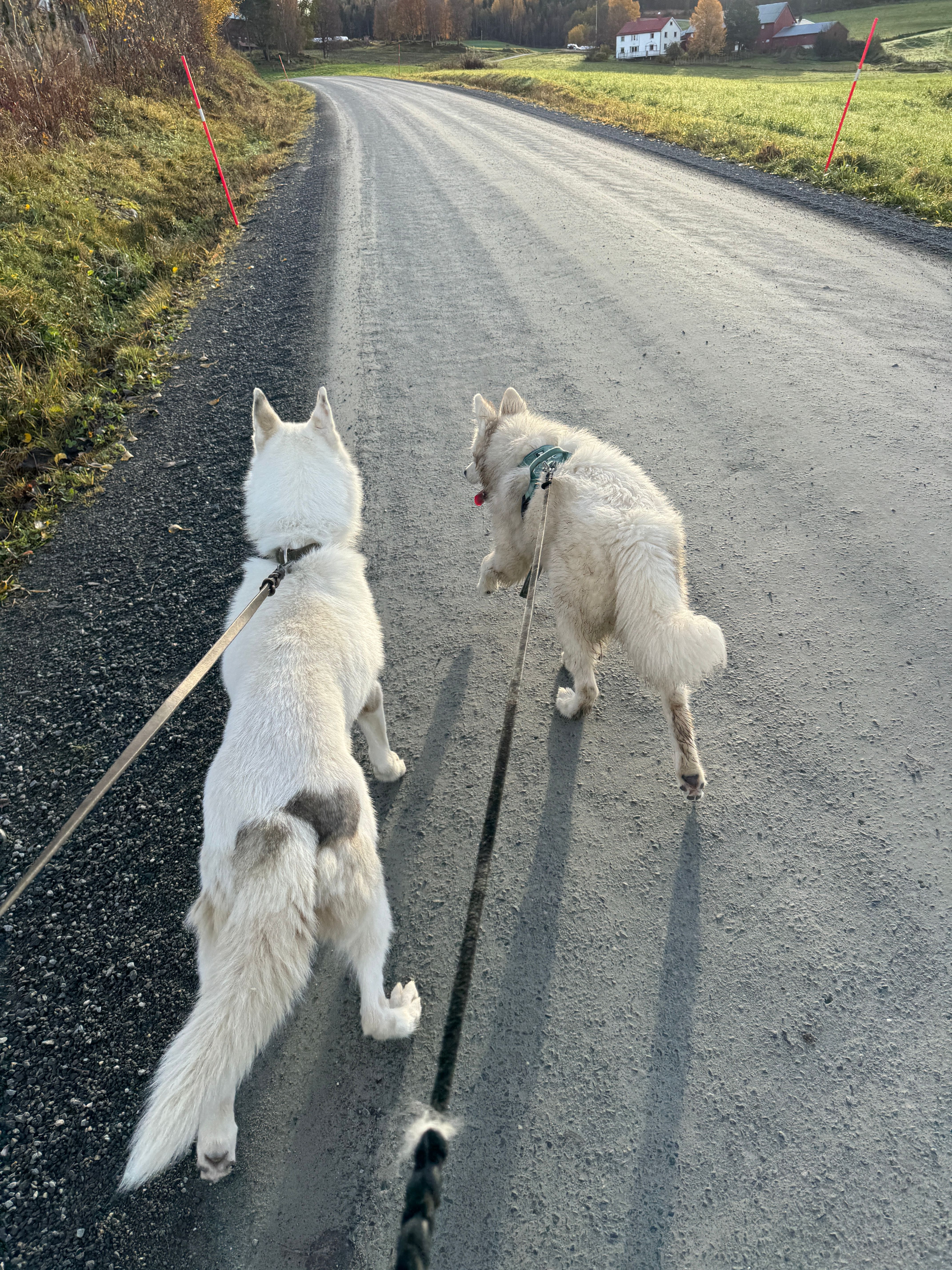 Tine 13,5 år med Rune 7 mnd