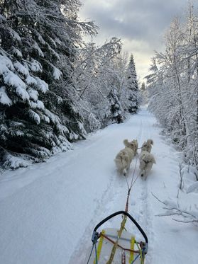 Kippemarka bød på sledekjøring:)