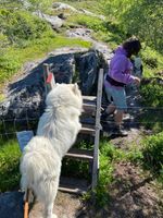 På tur opp til Salbuhatten
