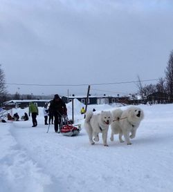 Start lørdag