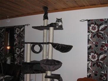 Tyra, pryder sin plats ; )
