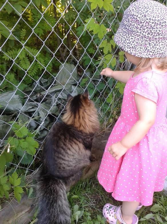 Ellie och Aria i kattgården <3
