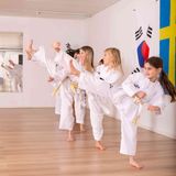 Taekwondo-47