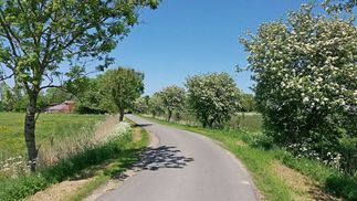 Visquard Fahrrad Appingen