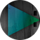 Visual Society logo
