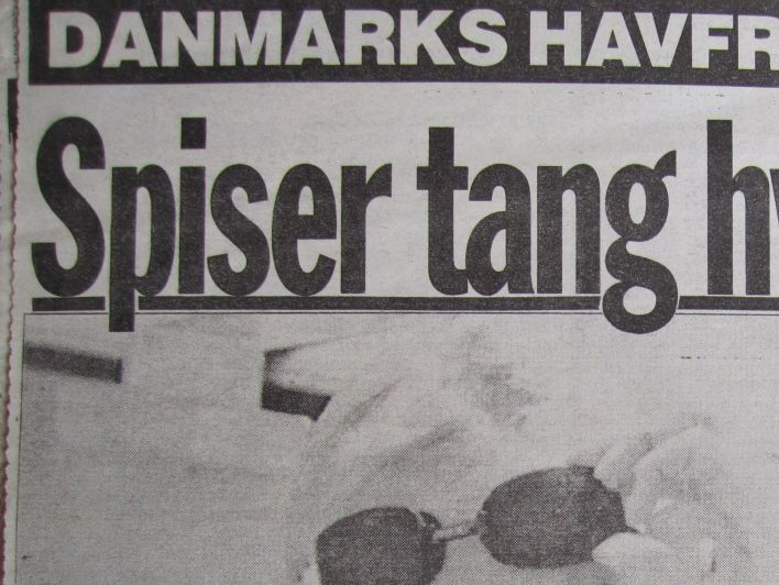 







Spiser havfruer tang? Den lille Havfrue på Langelinje gør nok ikke. Menn Danmarks næst-berømsteste havfrue gør - hver dag enda. Og det har hun vundet guldmedalje ved i svømning. Hun har fået fortalt, at mineraler og næringsstoffer fra søplanter virker og ligger tættere på organismens biokemi. Det letter optagelsen i organismen, og øger produktionen af kroppens egne muskelopbyggende hormoner, især det mandlige kønshormon testosteron. Efter tre guldmedaljer i someren 1991 har Mette Jacobsen ikke tænkt sig at holde tænderne fra tangpillerne. Men det kan være, jeg skulle anbefale dem, 