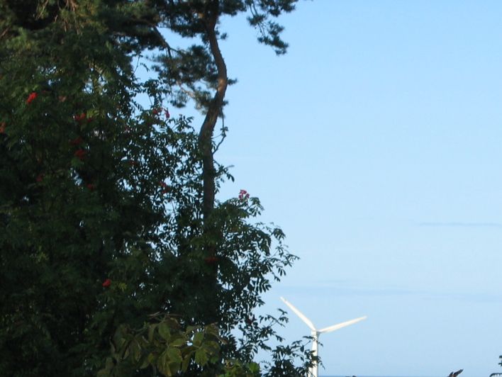 20 meter fra sommerhuset over en høj hæk kommer vindmøllerne frem!!... 