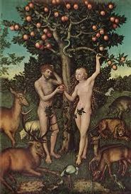 I Adams Bog står der, at parret levede vegetarisk og da de blev smidt ud af Edens Have og den blev frosset til af is, måtte de finde føde ved at slå dyr ihjel og som kaldes synden?