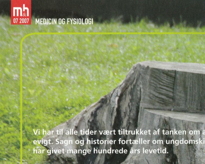 I følge Det Gamle Testamente levede Adam i 930 år og kun forbigået fem slægtsled senere af Metusalem, som skal være blevet 969 år gammel. Derefter gik det gradvist ned ad bakke med levealderen via Noah, som blevb777 år gammel, Nahor, som 