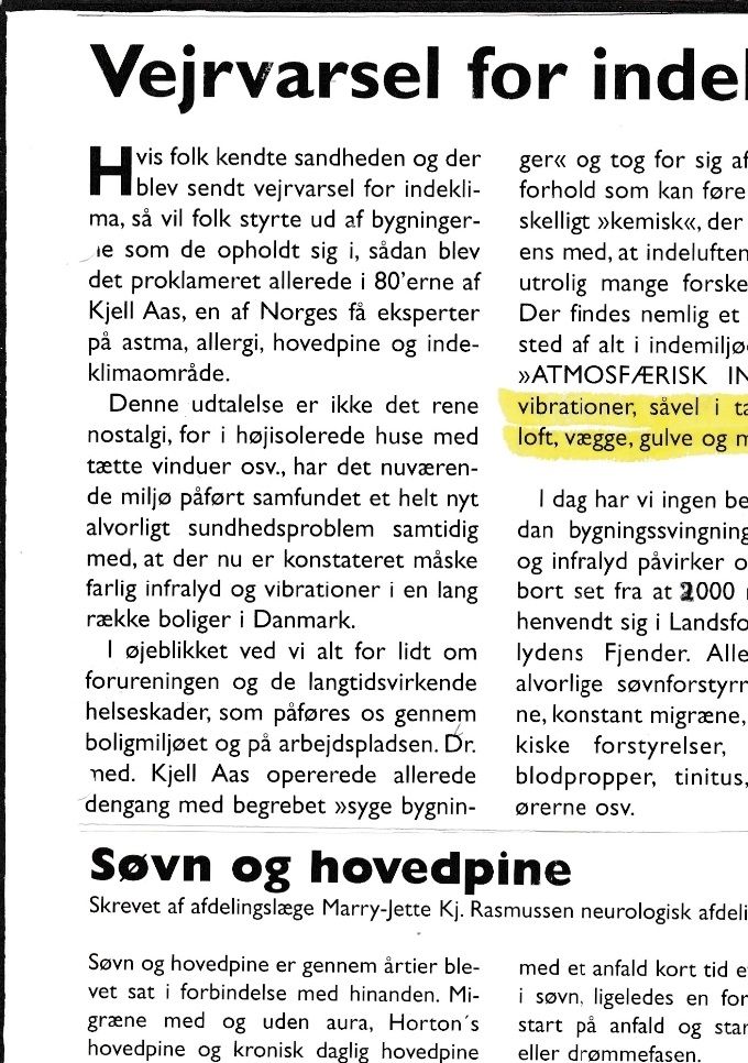 Artikel fra Hovedpine Foreningens Medlemsblad år 2000