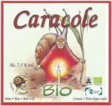 BE-F-06140-040 CA