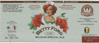 BE-W-18605-008 AA