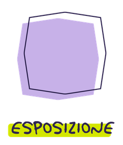 ICONA-METODO-ESPOSIZIONE-ITA