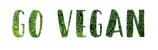 Go Vegan VivaMK Health Contact