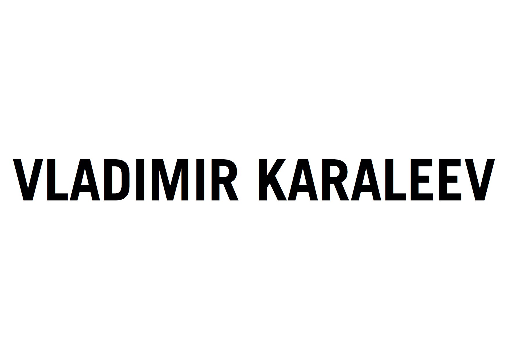 VLADIMIR KARALEEV LOGO  