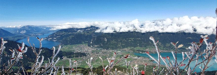 #Unterseen #Interlaken #Matten #Bönigen #Wilderswil #Schynige platte
