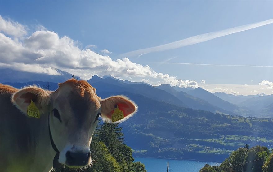#Beatenberg #Thunersee