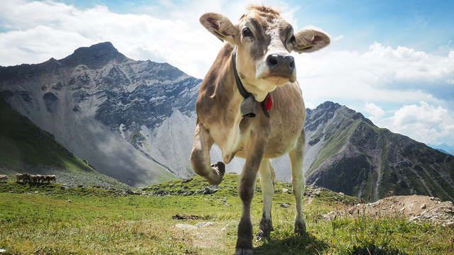 #Riederalp