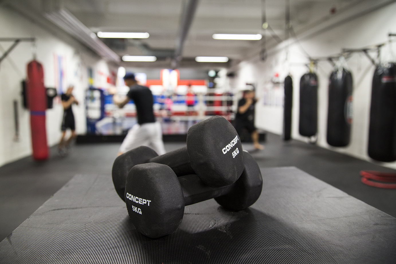 Vaggeryds Thai & Kickboxningsklubb photo (Gym's own website)