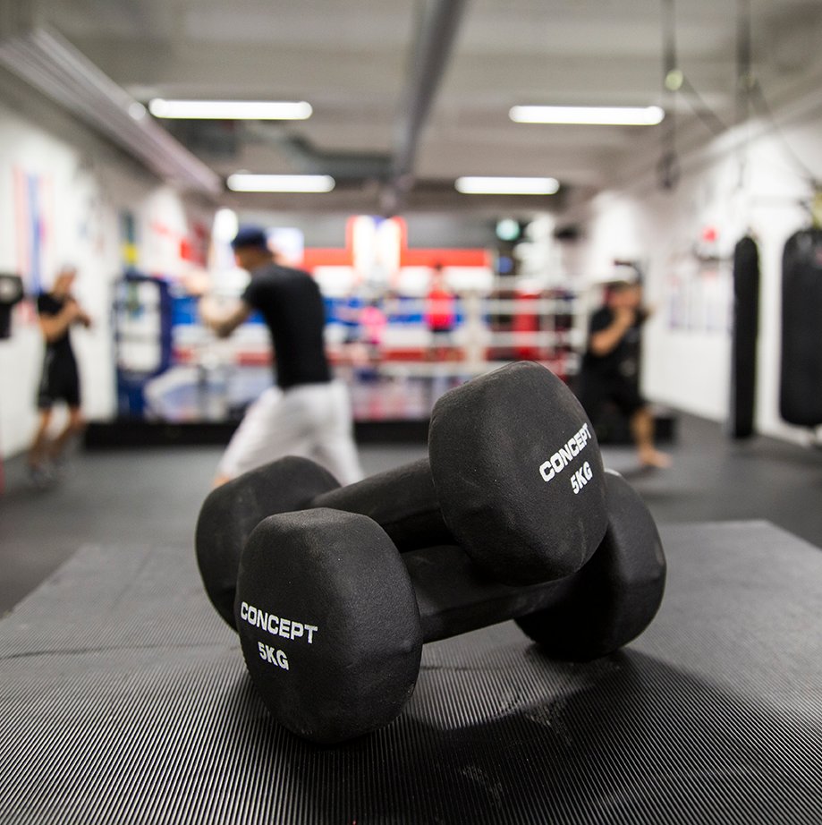Vaggeryds Thai & Kickboxningsklubb photo (Gym's own website)