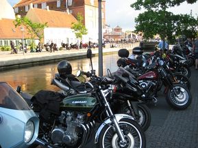 IMG_3343