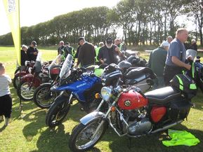 IMG_3556