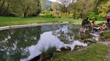 IMG-20240928-WA0004