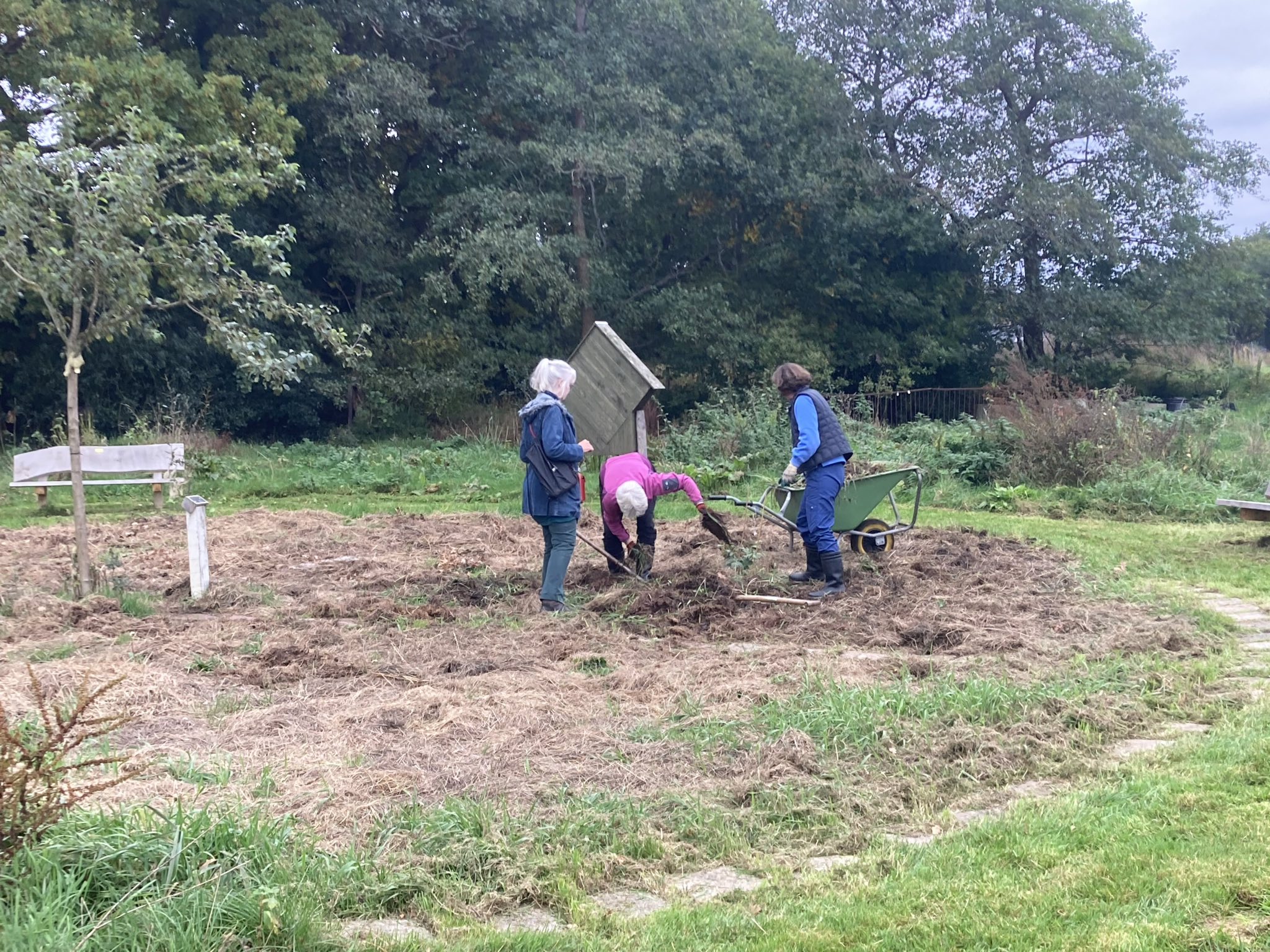 Het mini voedselbosje verder ontdaan van gras.