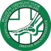 bvv logo2
