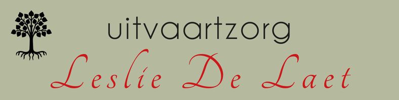 Banner Volksfeesten Rumst - Leslie De Laet