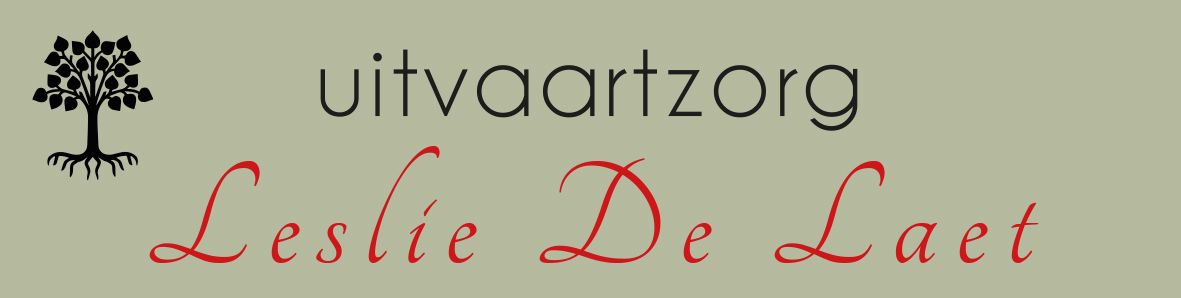 Banner Volksfeesten Rumst - Leslie De Laet