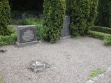 Kaptajn Adolf Lieberg