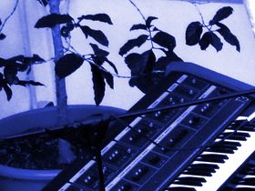 live at 'the five elements'