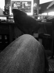 View from the VIP couch.